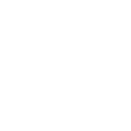 Parameter and function customization